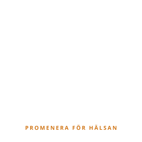 Distansritt.nu